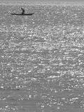 Preview - Click to zoom
